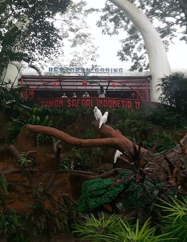 Taman Safari 2 Prigen