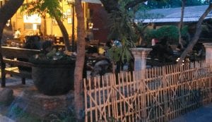 Duduk di bawah pohon