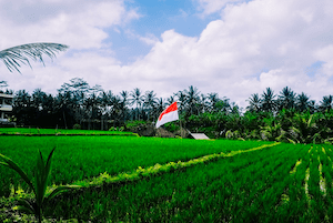 Persiapan Logistik Untuk Ibukota Baru