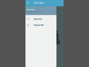 skin ff
