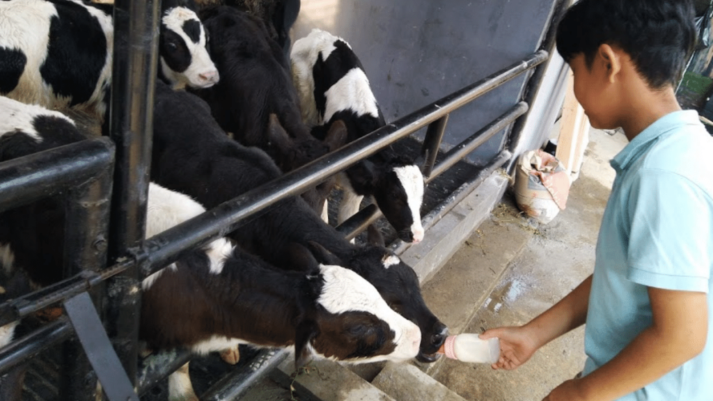 Farm House road trip Bandung Dari Surabaya