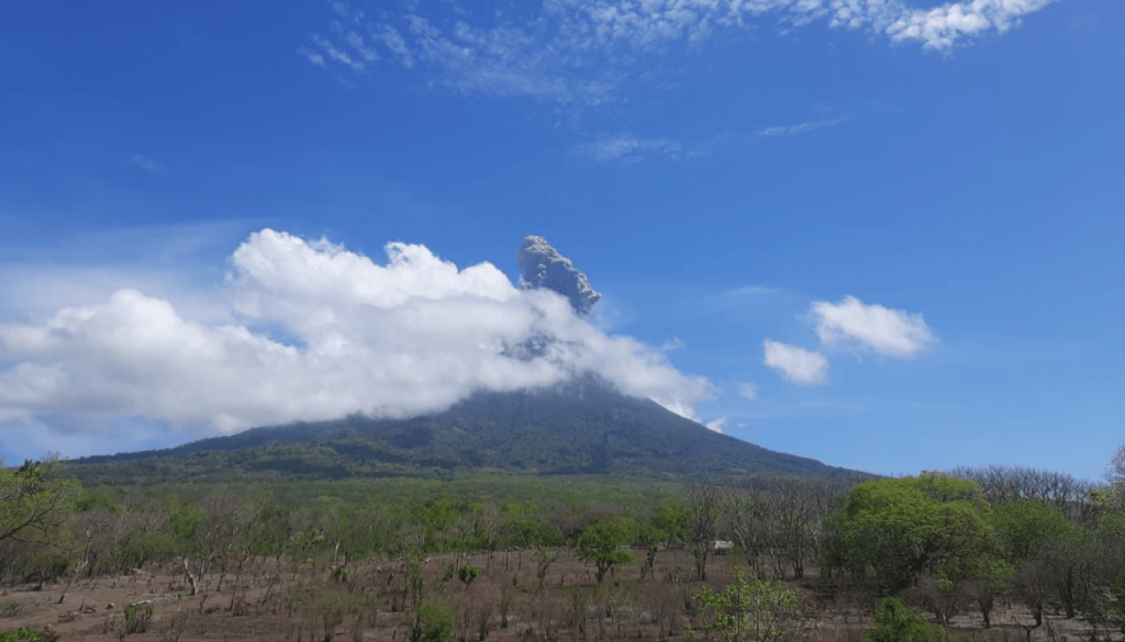 Bencana Erupsi Gunung Ili Lewotolok