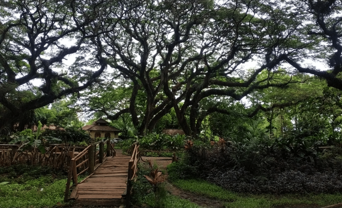 tempat wisata banyuwangi