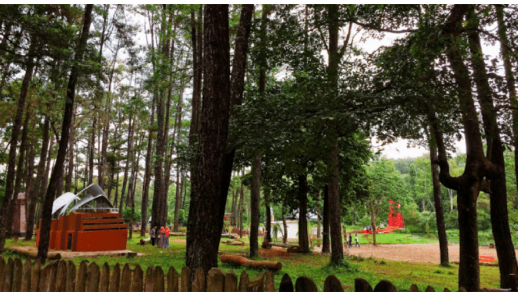 Taman Wisata Alam Punti Kayu