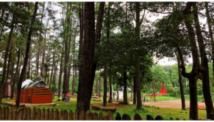 Taman Wisata Alam Punti Kayu