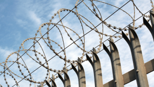 Memasang Kawat Berduri