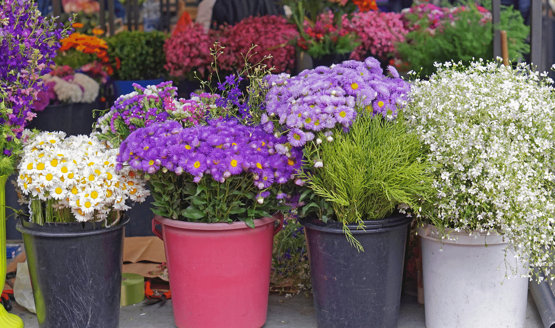 tradisi memberi bunga