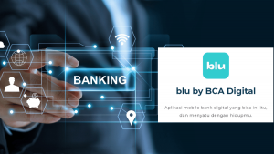 review aplikasi blu