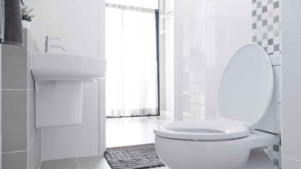 Memilih Toilet Duduk