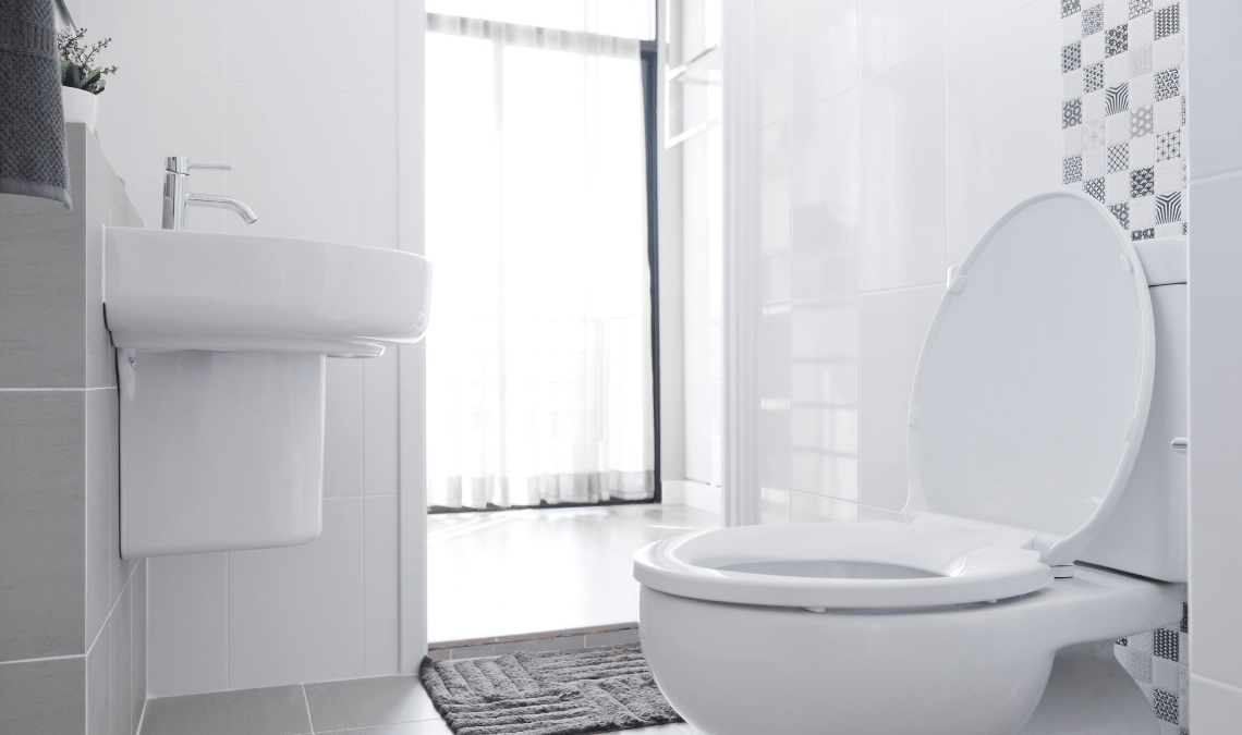 Memilih Toilet Duduk