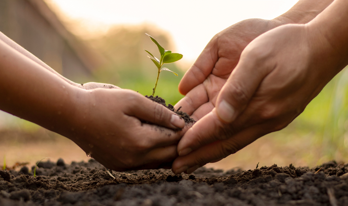 Token Kripto Alam Hijau Anagata (AHA)