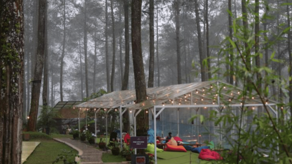 Orchid Forest Cikole