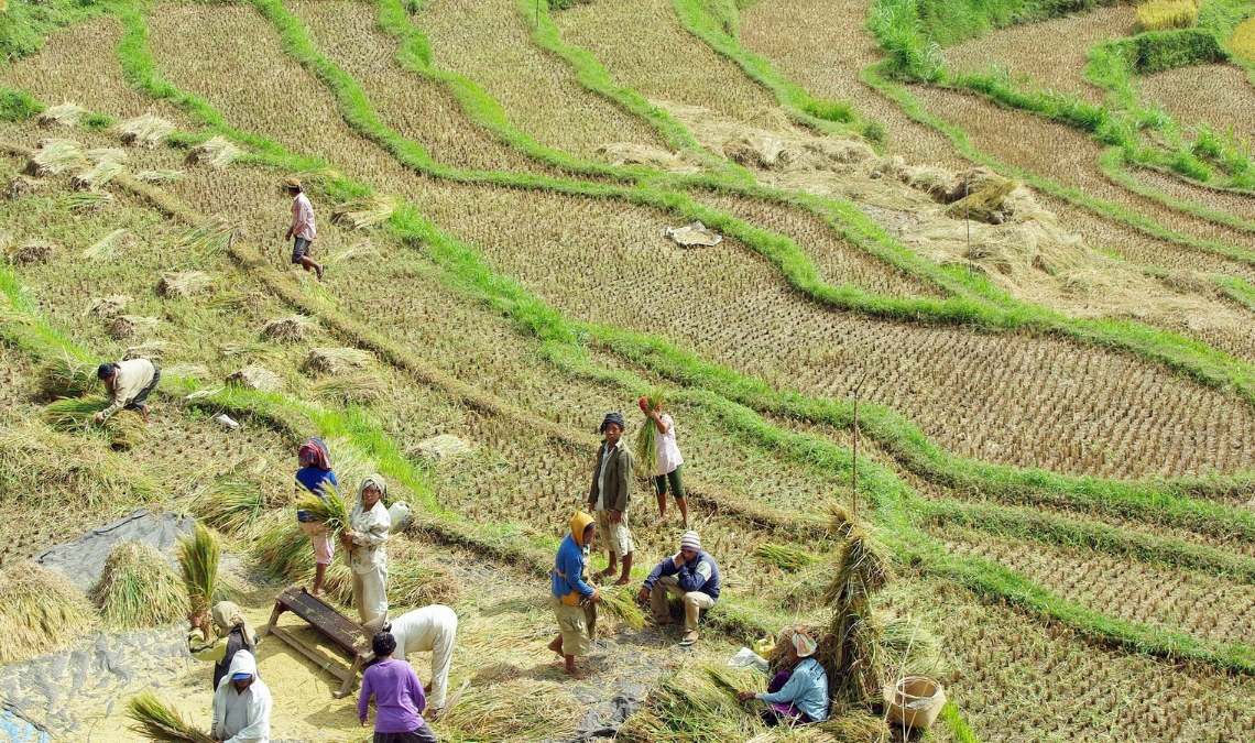 Industri pangan indonesia 2023