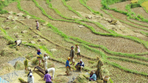 Industri pangan indonesia 2023